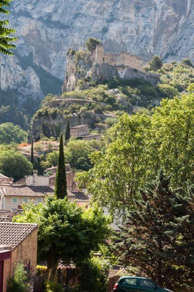 Bed and Breakfast La Figuiere Fontaine De Vaucluse Exterior foto