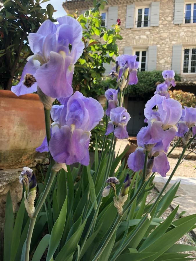 Bed and Breakfast La Figuiere Fontaine De Vaucluse Exterior foto